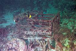 Abandoned Lobster Trap.jpg